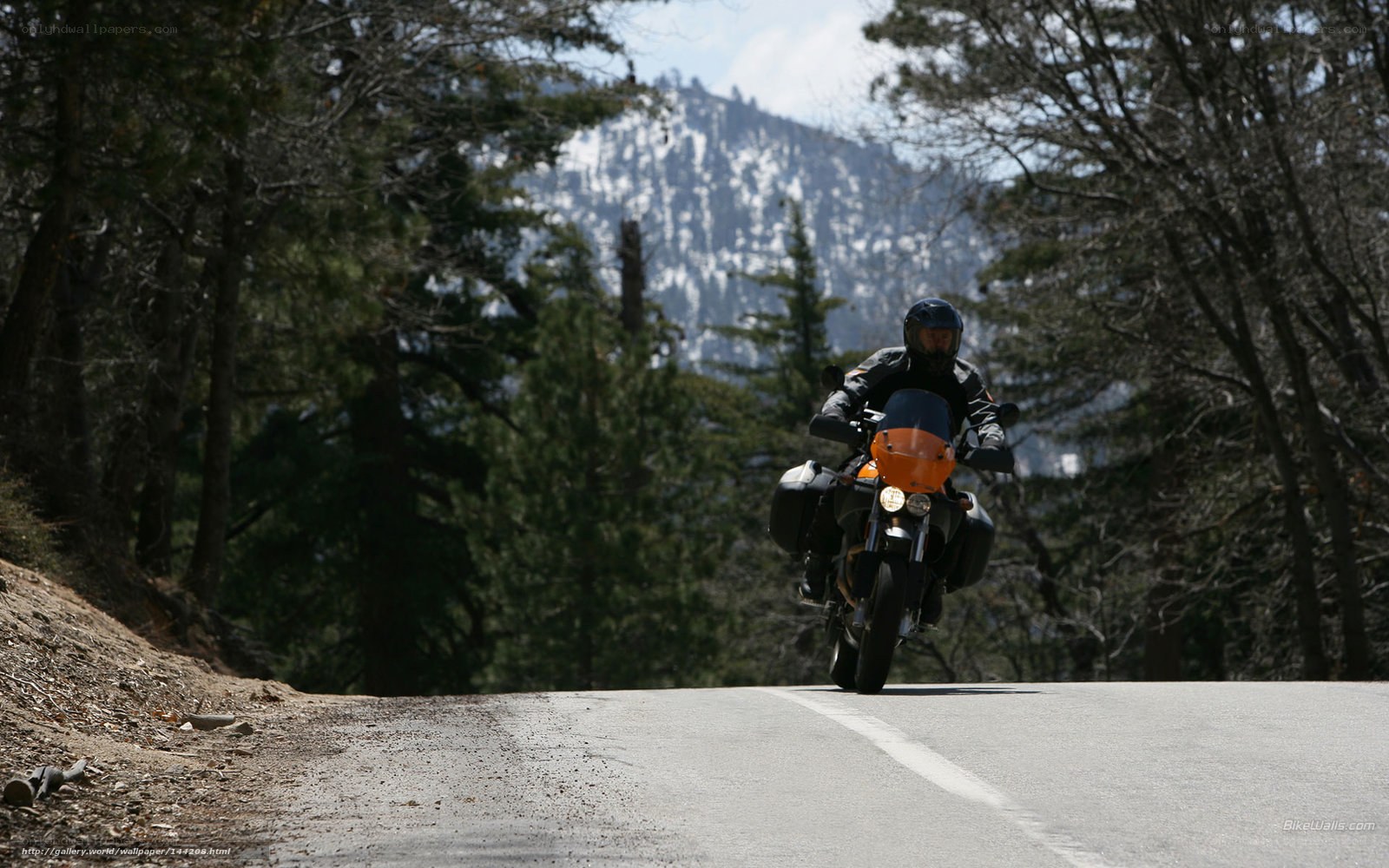 Motorcyclist on mountain road