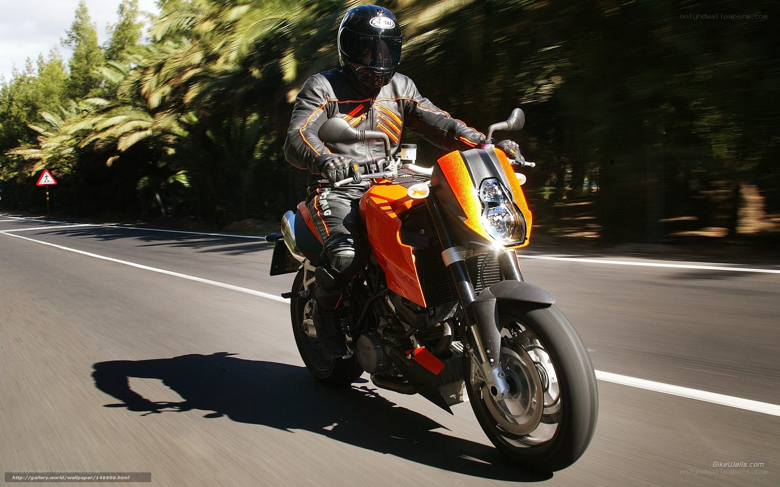 motorcyclist on orange bike