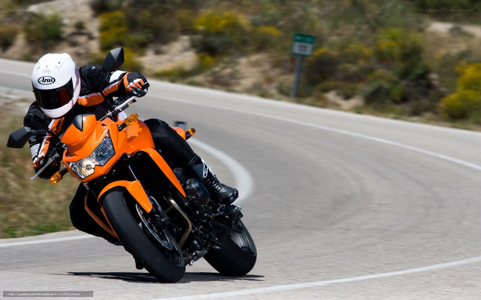 motorcyclist on orange bike