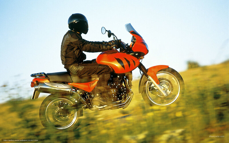 Motorcyclist on Orange Bike — Dynamic, Afternoon, Photograph, Helmet, Grass Field