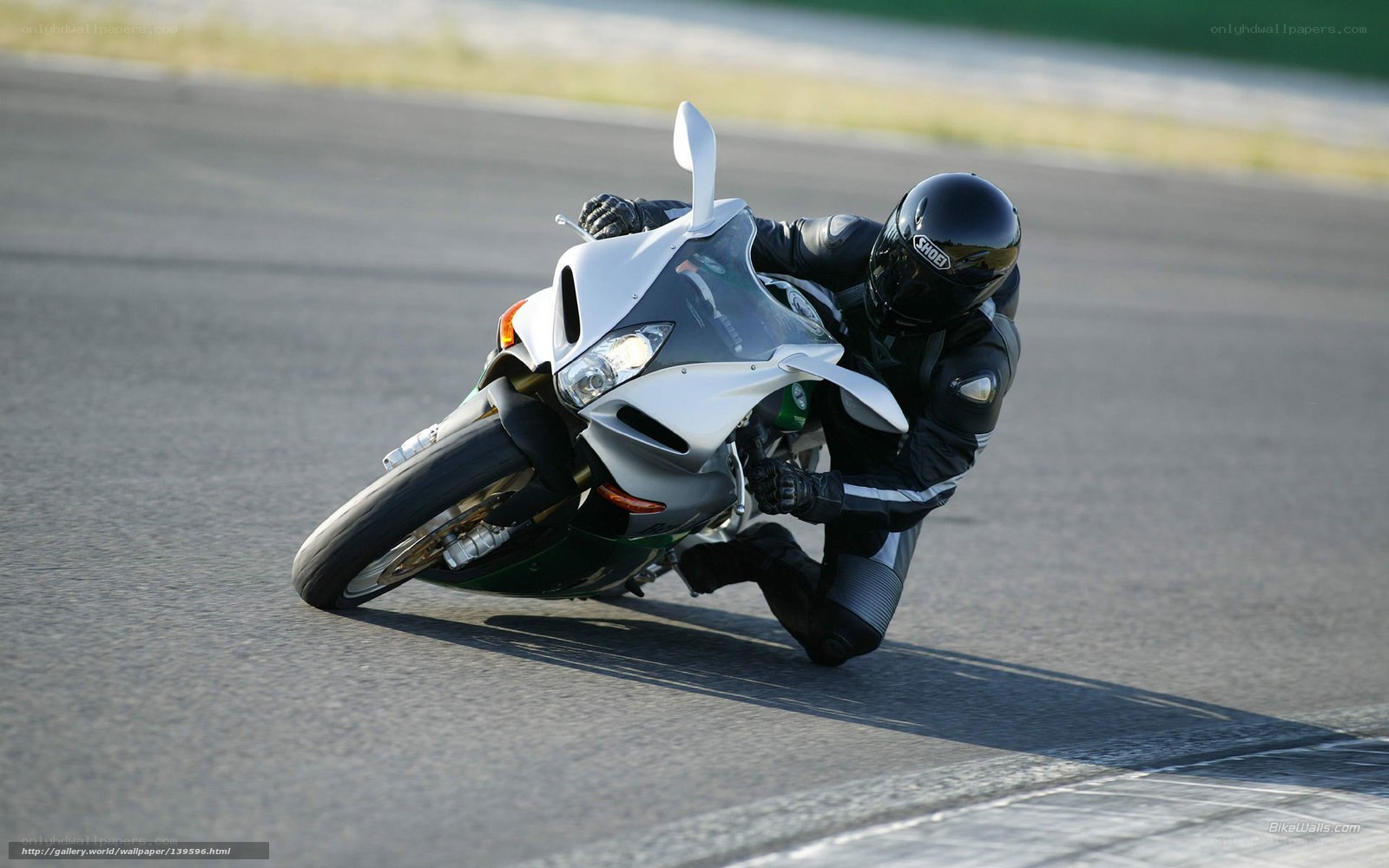 motorcyclist on racetrack