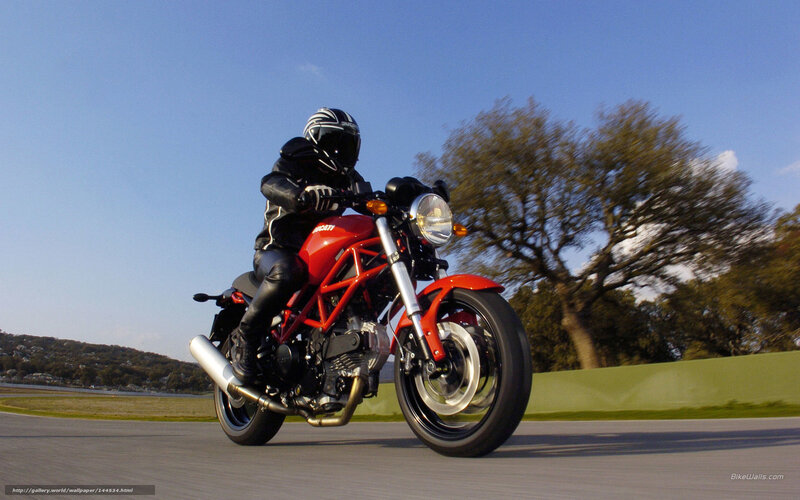 Motorcyclist on Red Bike — Dynamic, Afternoon, Photograph, Helmet, Tree