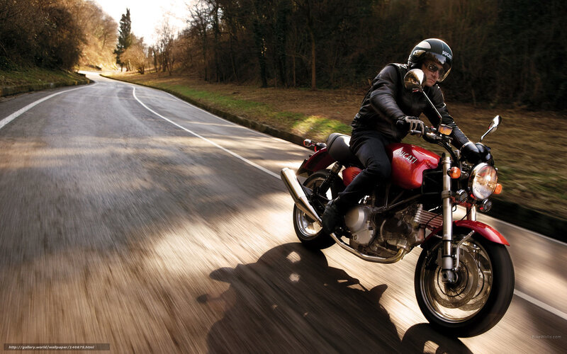 Motorcyclist on Red Bike — Dynamic, Afternoon, Photograph, Road, Trees