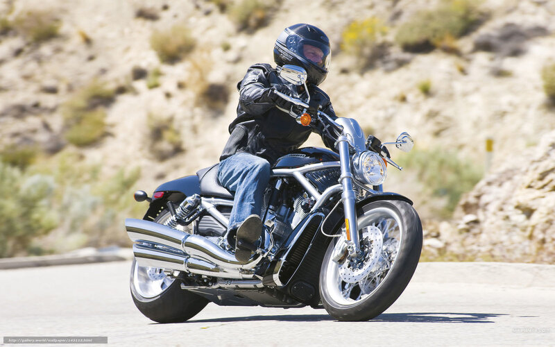 Motorcyclist on Road — Black, Active, Afternoon, Photograph