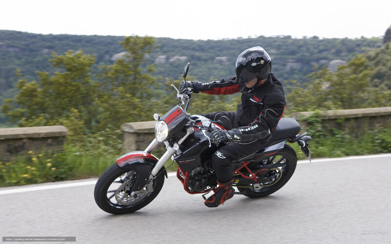 Motorcyclist on Road — Black, Active, Afternoon, Photograph, Trees