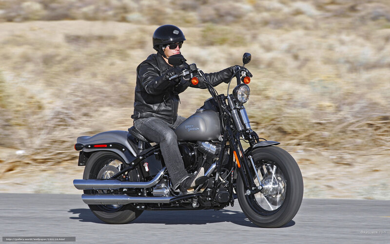 Motorcyclist on Road — Black, Dynamic, Afternoon, Photograph, Dry Grass