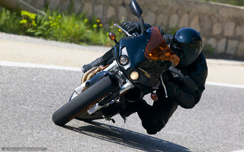 Motorcyclist on Road — Black, Dynamic, Afternoon, Photograph, Helmet, Bushes