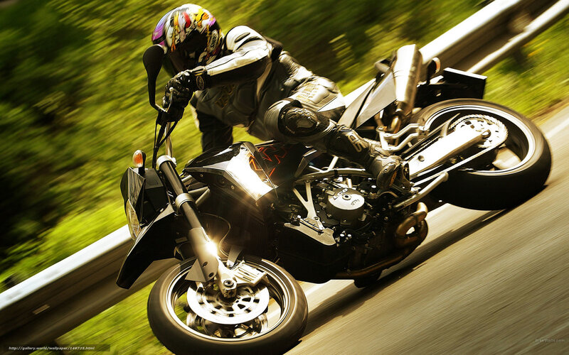 Motorcyclist on Road — Black, Dynamic, Afternoon, Photograph, Helmet, Guardrail, Greenery