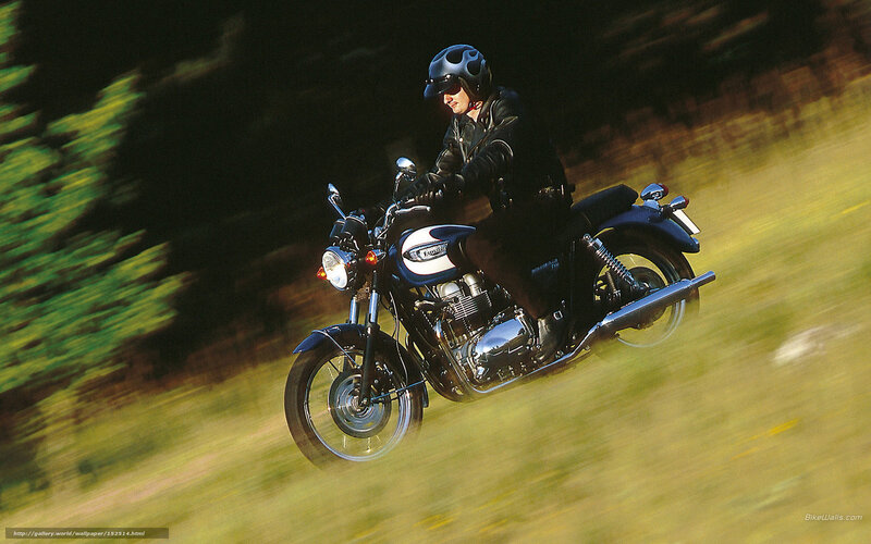 Motorcyclist on Road — Black, Dynamic, Afternoon, Photograph, Helmet, Motorcycle, Trees