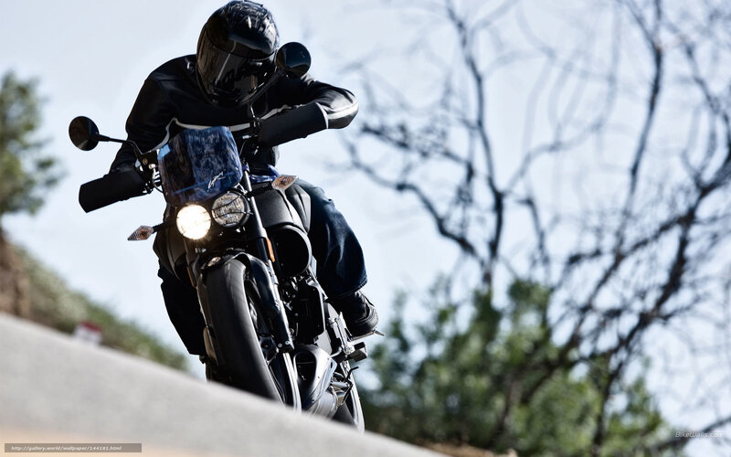 Motorcyclist on Road — Black, Dynamic, Afternoon, Photograph, Motorcycle, Helmet, Trees
