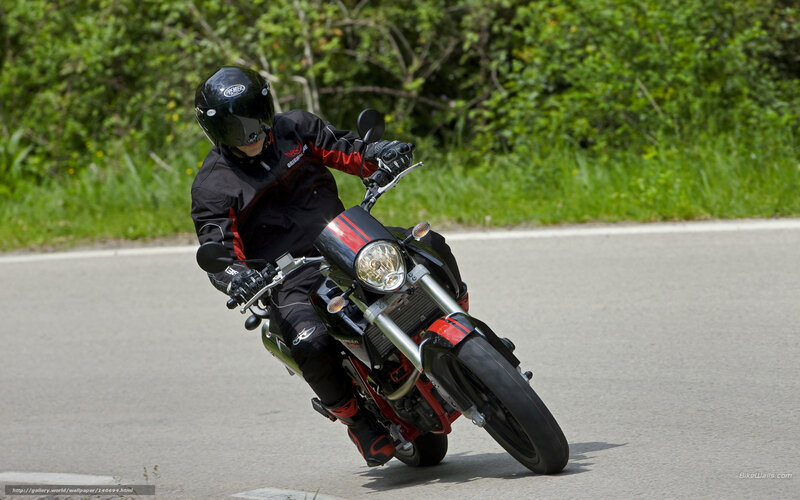 Motorcyclist on Road — Black, Dynamic, Afternoon, Photograph, Trees, Helmet