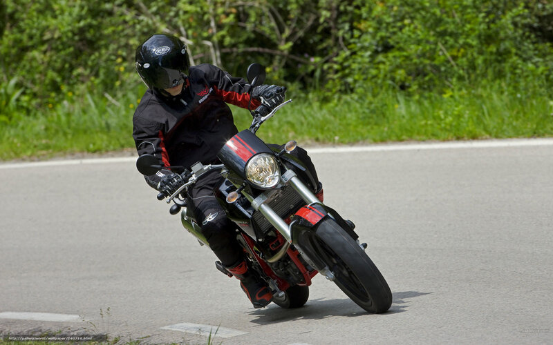 Motorcyclist on Road — Black, Dynamic, Afternoon, Photograph, Trees