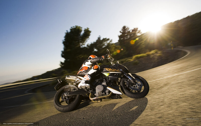 Motorcyclist on Road — Black, Dynamic, Sunset, Photograph, Trees, Sun