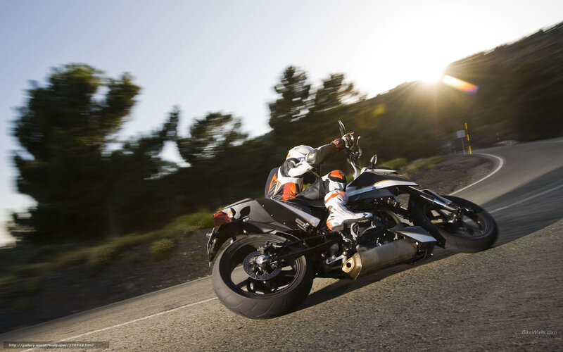 Motorcyclist on Road — Black, Dynamic, Sunset, Photograph, Trees