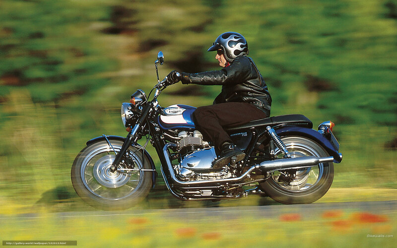 Motorcyclist on Road — Blue, Dynamic, Afternoon, Photograph, Helmet, Leather Jacket