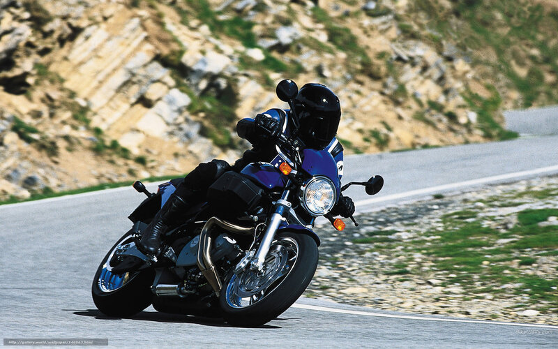 Motorcyclist on Road — Blue, Dynamic, Afternoon
