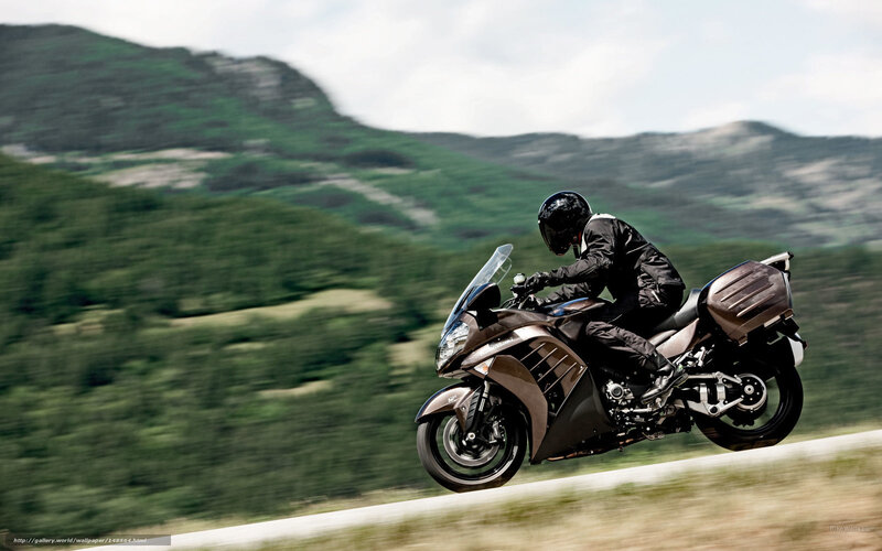 Motorcyclist on Road — Brown