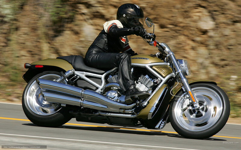 Motorcyclist on Road — Gold