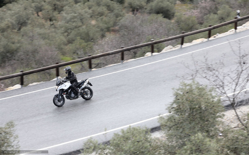Motorcyclist on Road — Gray, Calm, Afternoon