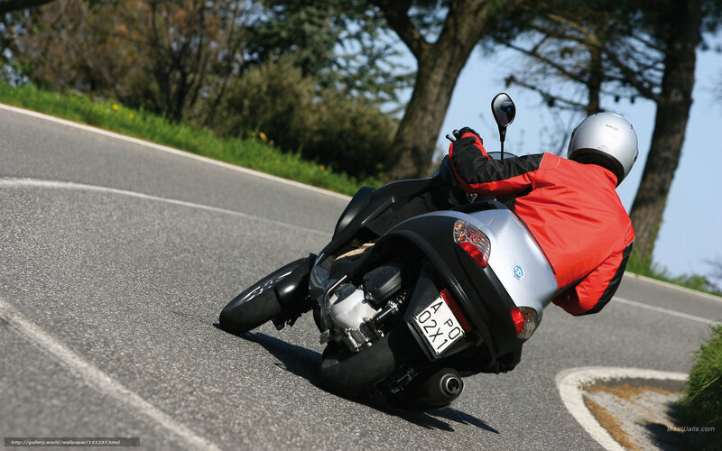Motorcyclist on Road — Gray, Dynamic, Afternoon, Photograph, Trees