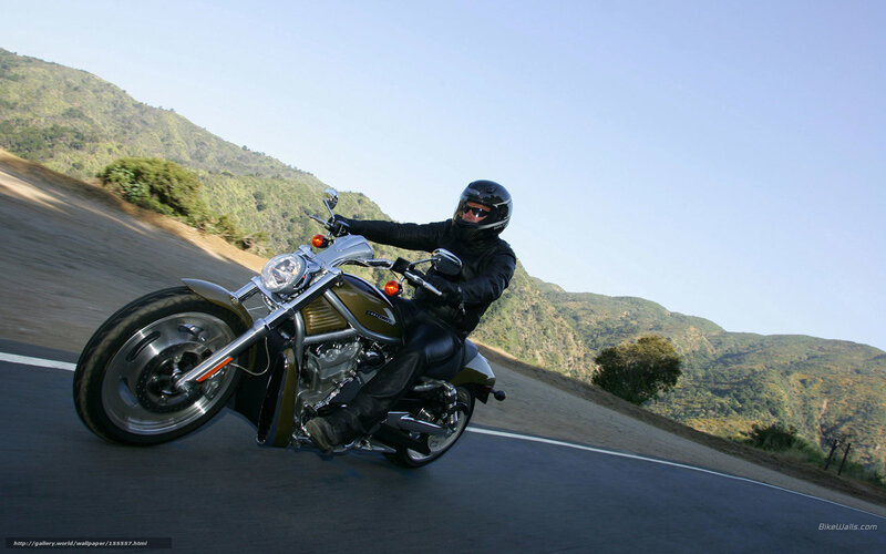 Motorcyclist on Road — Green, Dynamic, Afternoon, Photograph, Mountain