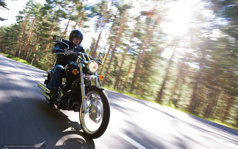 Motorcyclist on Road — Green, Dynamic, Afternoon, Photograph