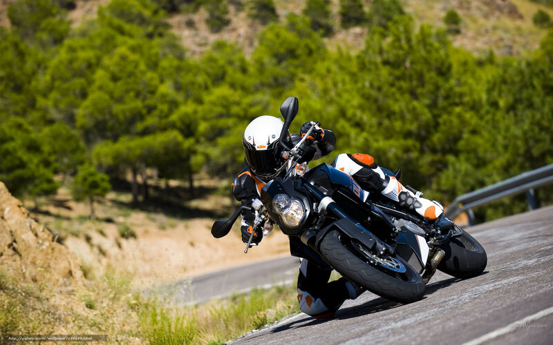 Motorcyclist on Road — Green, Dynamic, Afternoon, Photograph, Trees, Guardrail