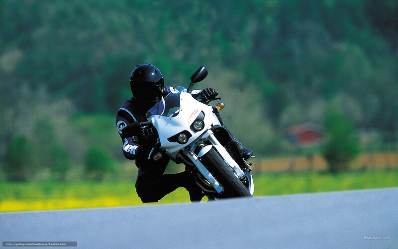 Motorcyclist on Road — Green, Dynamic, Afternoon