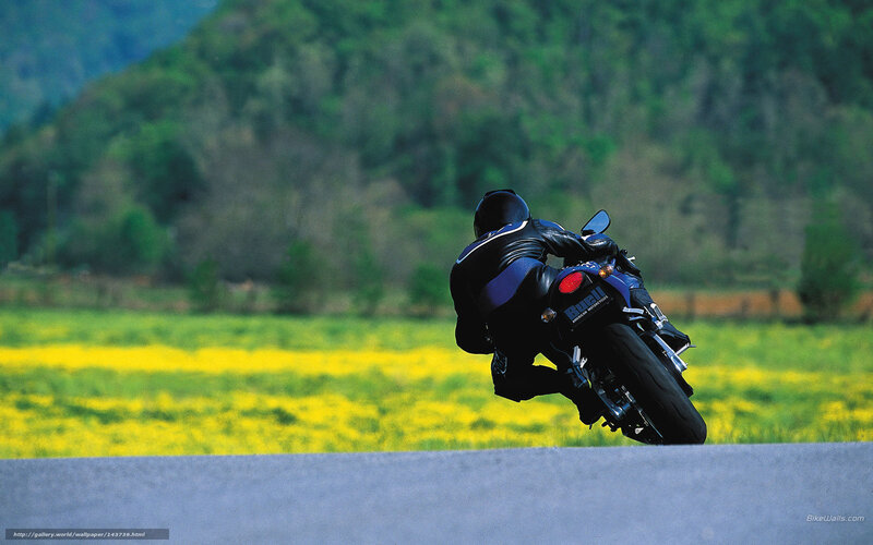 Motorcyclist on Road — Green, Dynamic, Spring