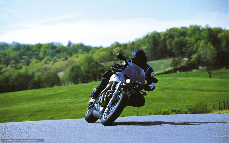Motorcyclist on Road — Green, Serene, Afternoon