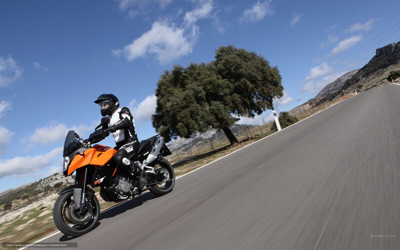 Motorcyclist on Road — Orange, Dynamic, Afternoon, Photograph, Tree