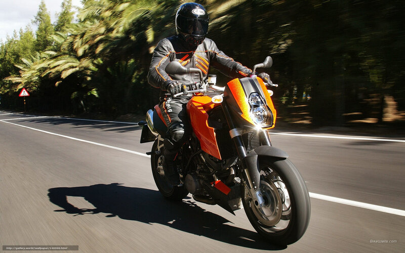 Motorcyclist on Road — Orange, Dynamic, Afternoon, Photograph, Trees