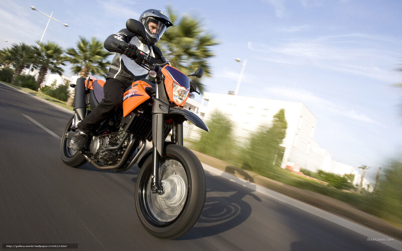 Motorcyclist on Road — Orange, Dynamic
