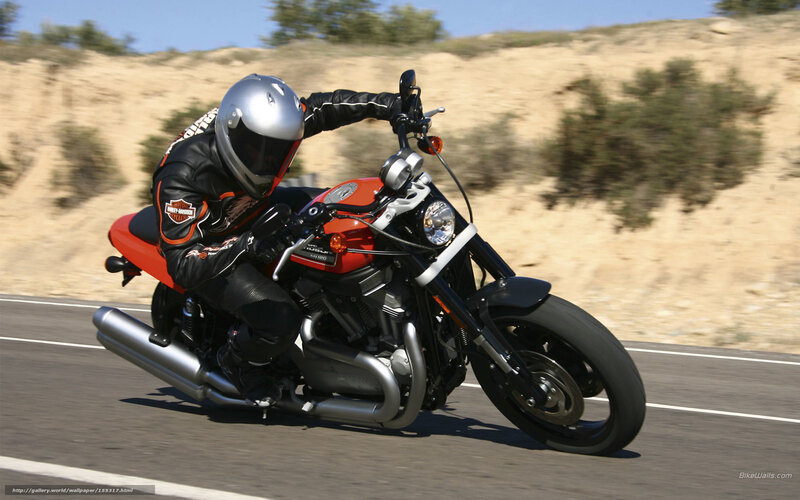 Motorcyclist on Road — Red, Dynamic, Afternoon, Photograph, Helmet, Saddlebag