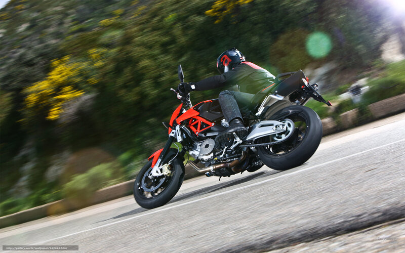 Motorcyclist on Road — Red, Dynamic, Afternoon, Photograph, Trees