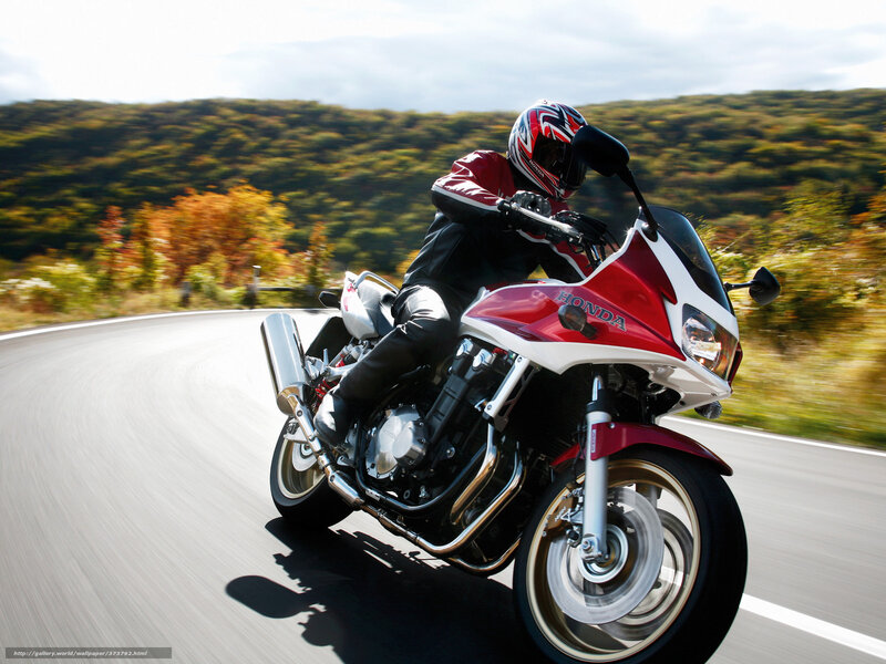 Motorcyclist on Road — Red, Dynamic, Autumn