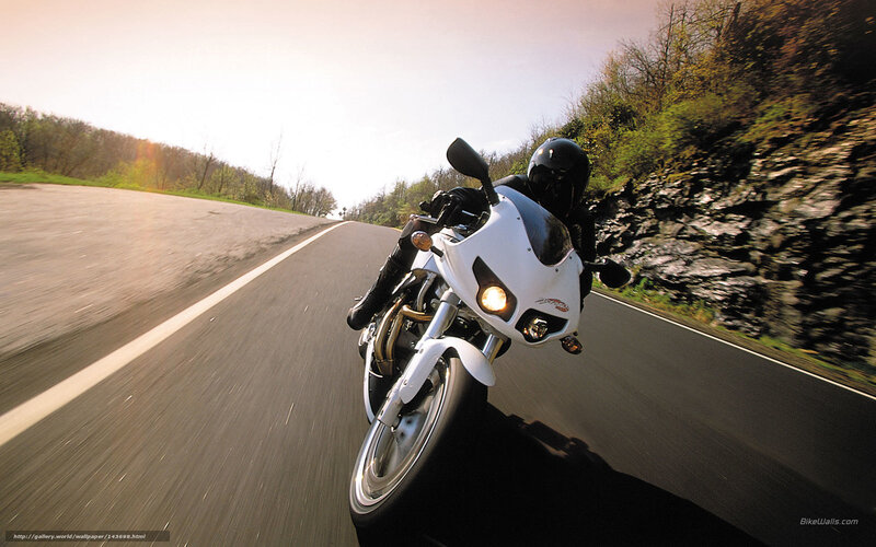 Motorcyclist on Road — White, Dynamic, Afternoon, Photograph, Trees