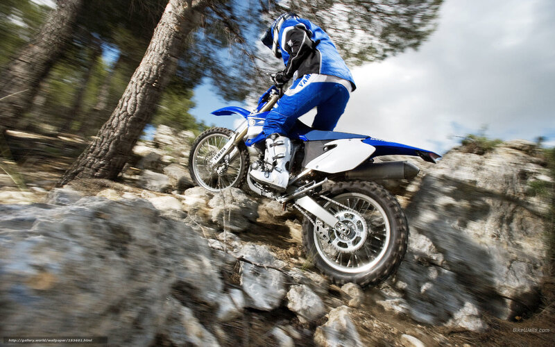 Motorcyclist on Rocky Terrain — Blue, Dynamic