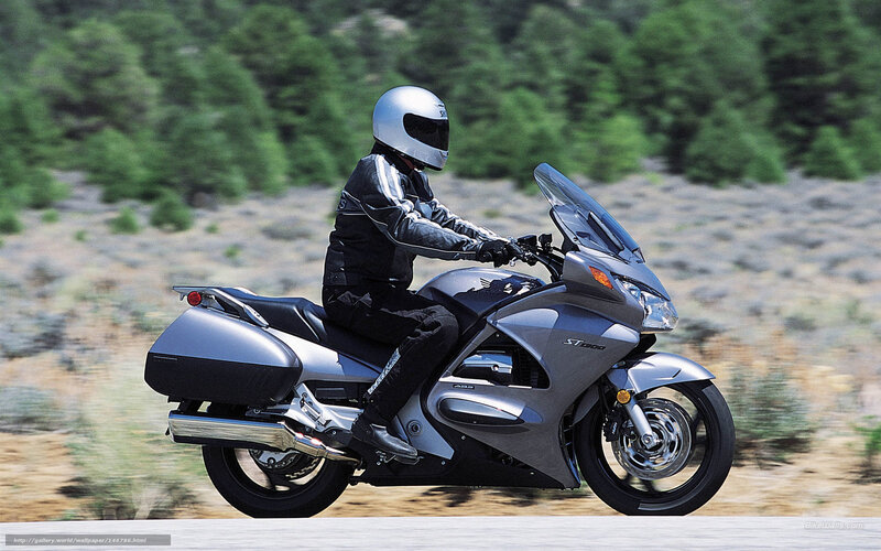 Motorcyclist on Silver Bike — Dynamic, Afternoon, Photograph, Helmet, Forest