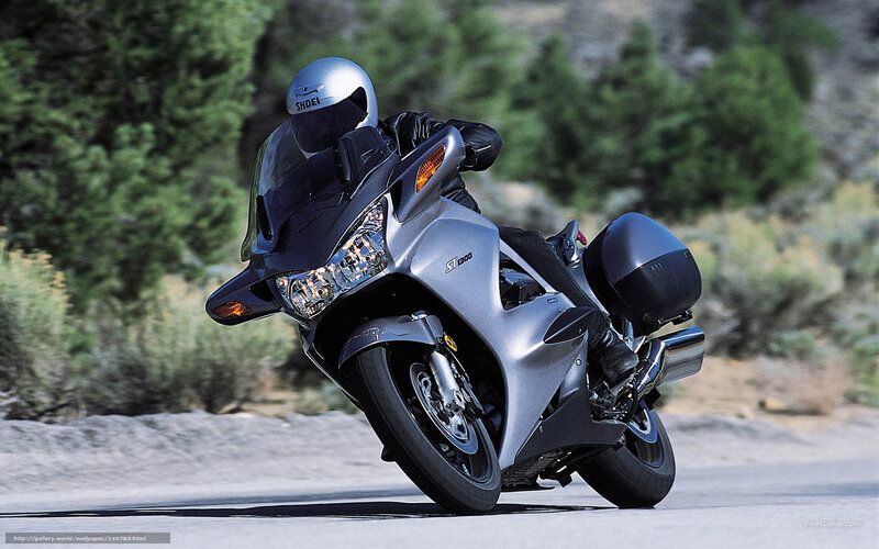 Motorcyclist on Silver Bike — Dynamic, Afternoon, Photograph, Helmet, Trees