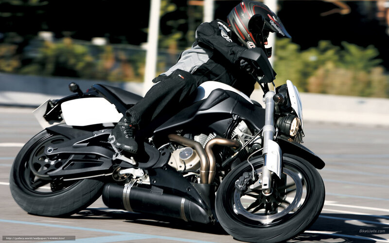 Motorcyclist on Track — Black, Dynamic, Afternoon, Photograph, Helmet, Road, Trees