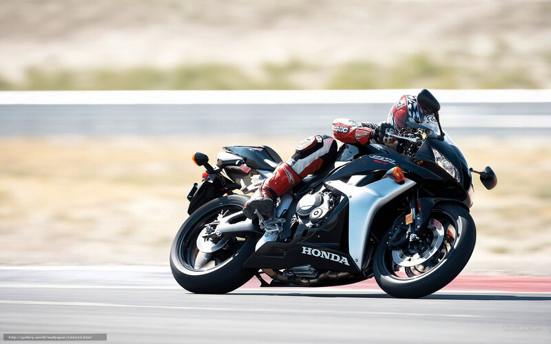 Motorcyclist on Track — Black, Dynamic, Afternoon, Photograph, Racing Suit