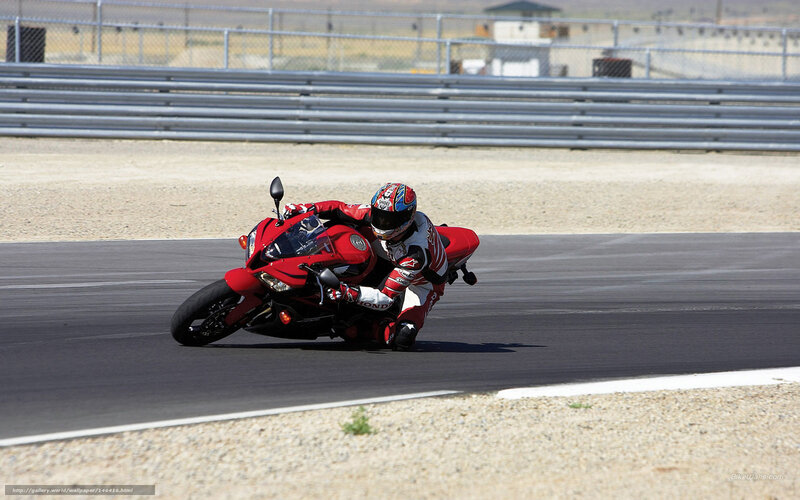Motorcyclist on Track — Red, Dynamic, Afternoon, Photograph, Race Track