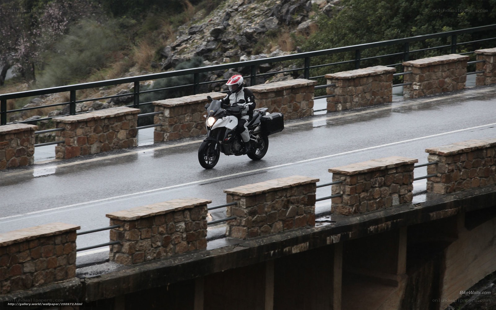 motorcyclist on wet bridge