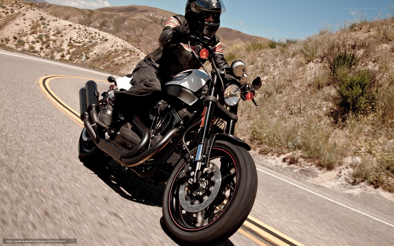 motorcyclist on winding road