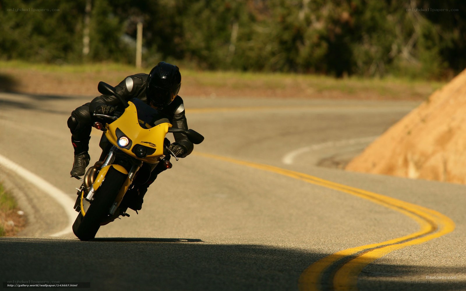 motorcyclist on winding road