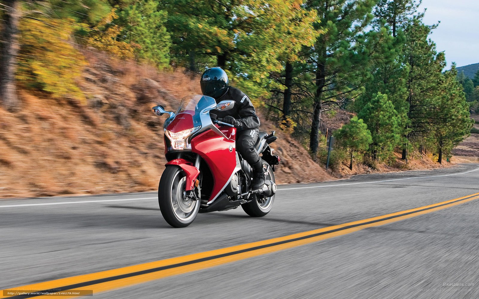 motorcyclist on winding road