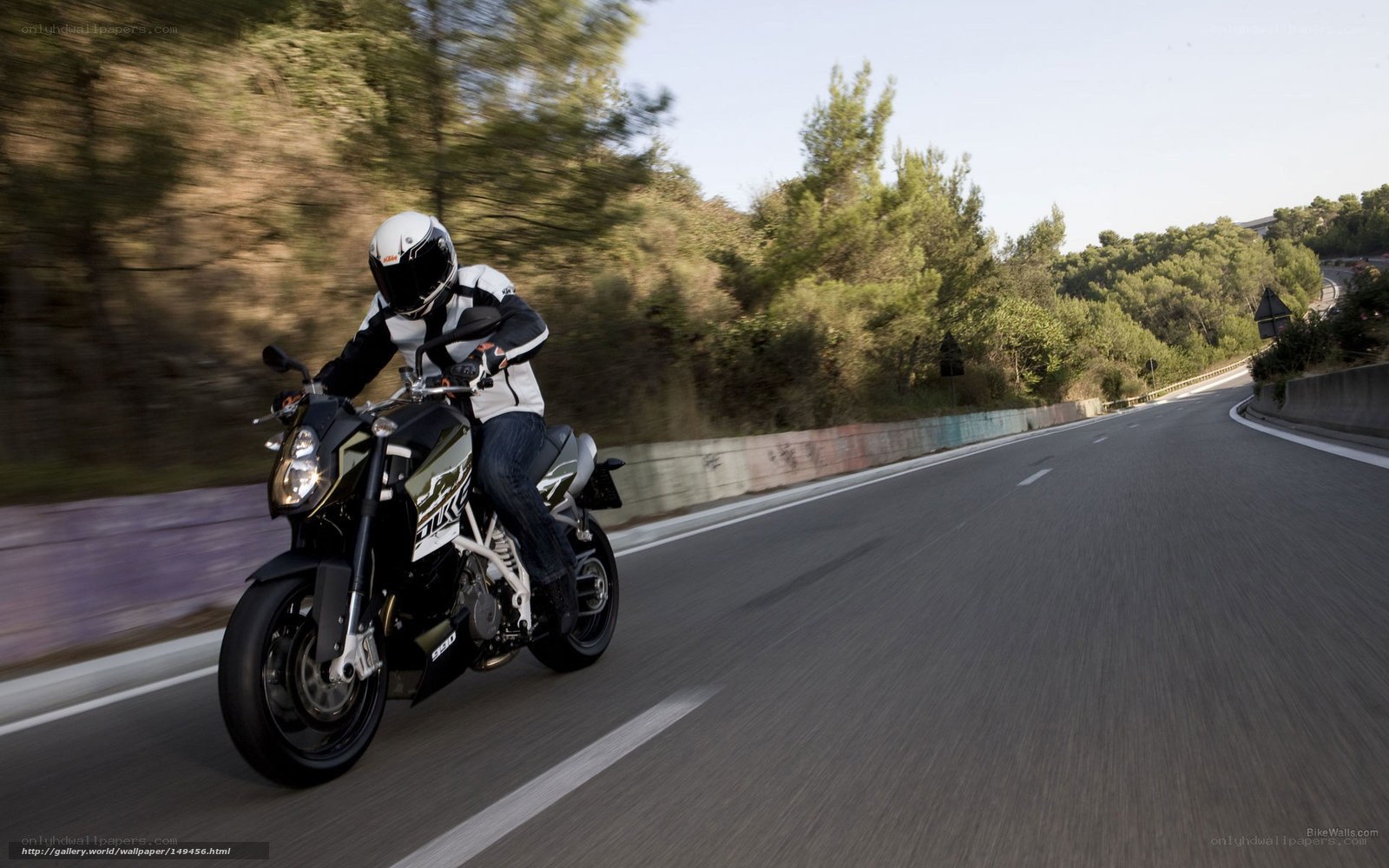 motorcyclist on winding road