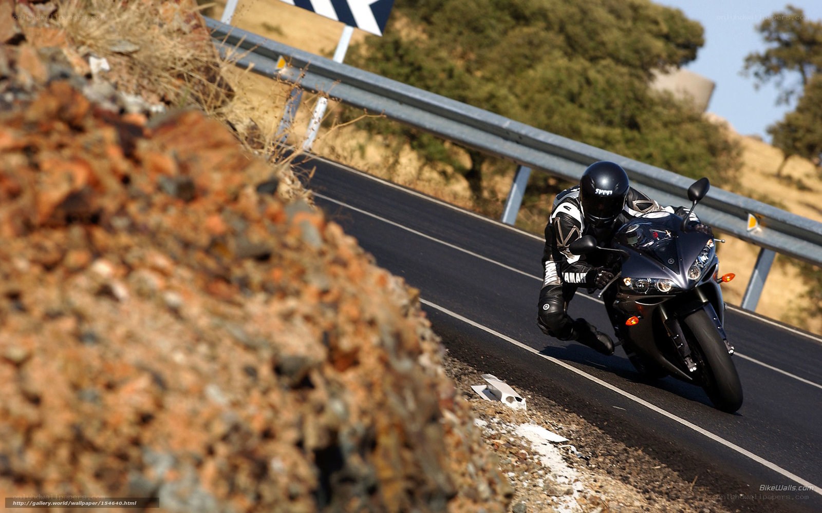 motorcyclist on winding road