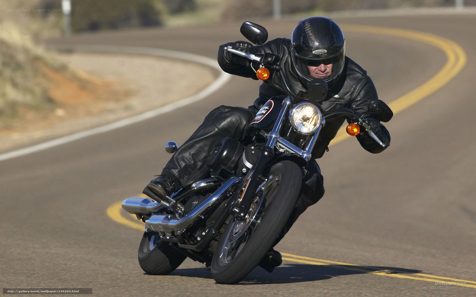 motorcyclist on winding road